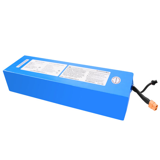 48V 18A Battery for RZ800 2024 Version